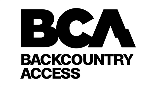 BCA